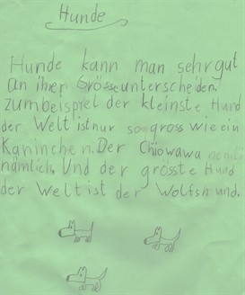 Hundeschule 2010036.jpg